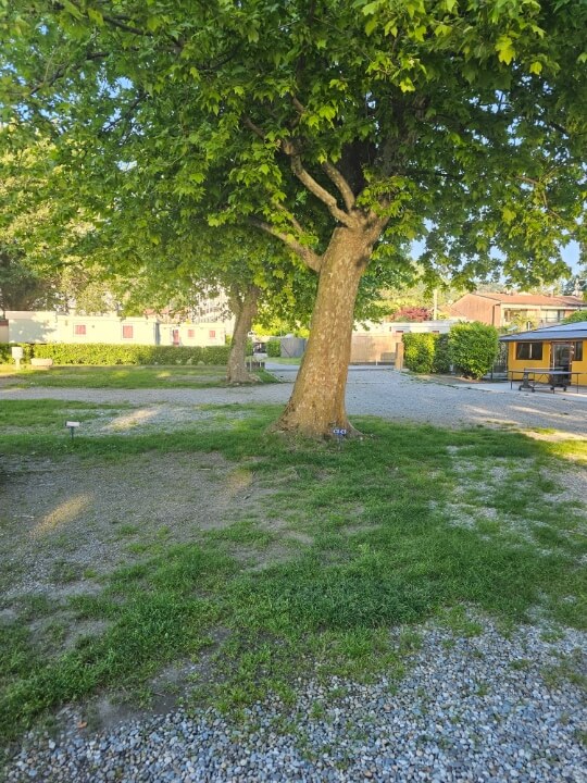 Couple Pitches C1-C4