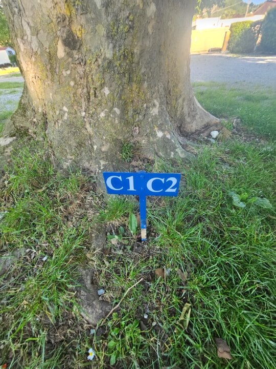 Couple Pitch Marker Example