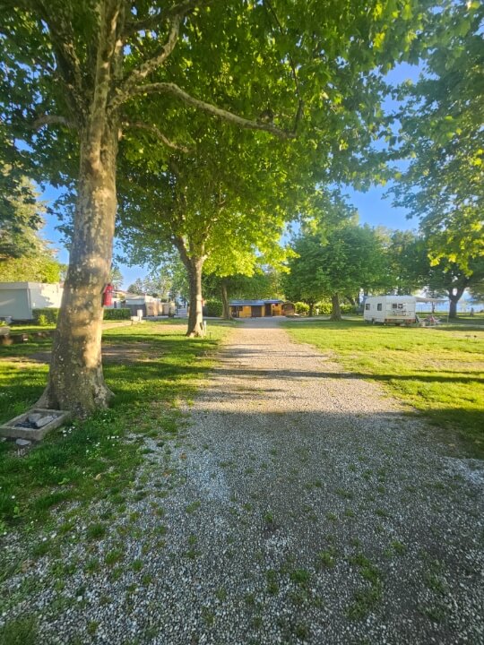 Family Pitches F1-F4