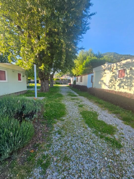 Family Pitches F1-F4