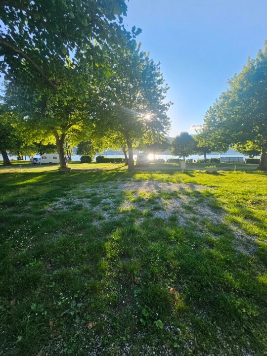 Family Pitch Example